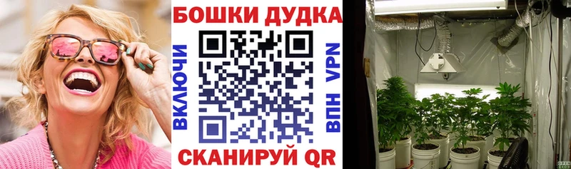 дарнет шоп  OMG как зайти  Каннабис ГИДРОПОН  Нерчинск 